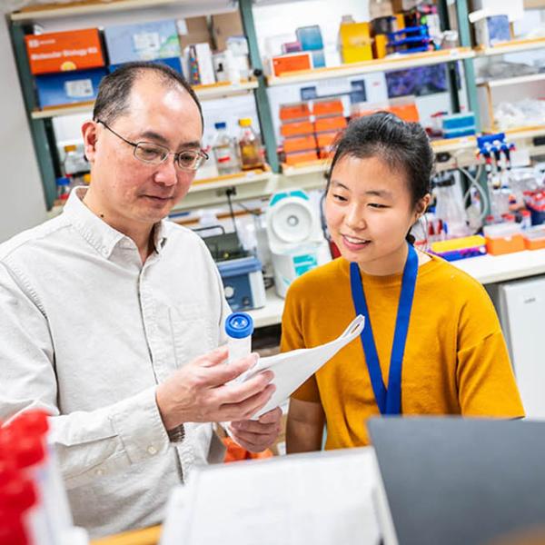 Dr. James Lim and Seohee An, research technician in the Dr. James Lim laboratory. look at a plastic tube